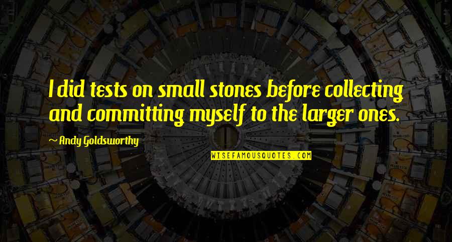 Fundesplai Quotes By Andy Goldsworthy: I did tests on small stones before collecting