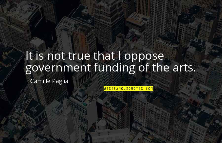 Funding Quotes By Camille Paglia: It is not true that I oppose government
