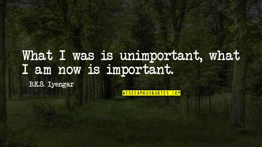 Fundraising Events Quotes By B.K.S. Iyengar: What I was is unimportant, what I am