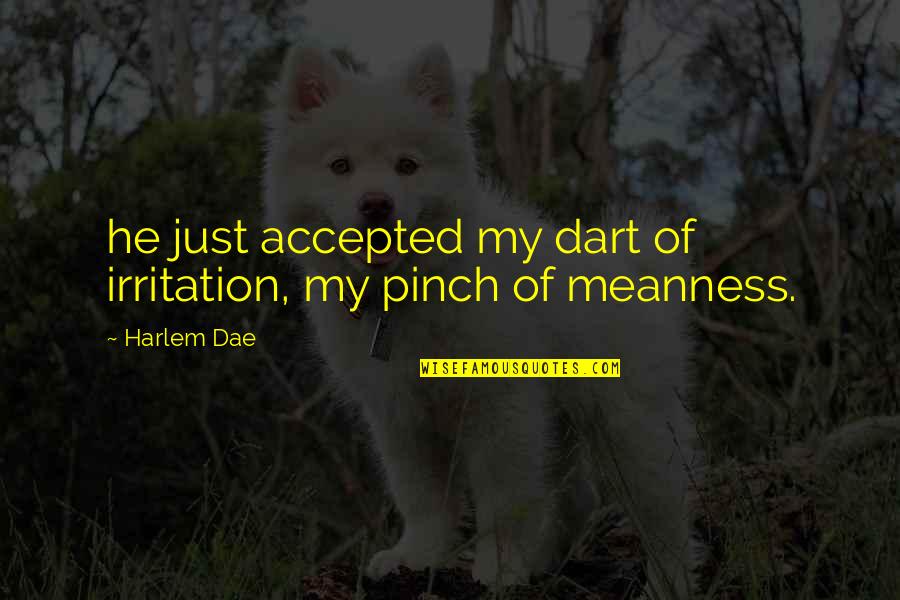 Funeral Contributions Quotes By Harlem Dae: he just accepted my dart of irritation, my