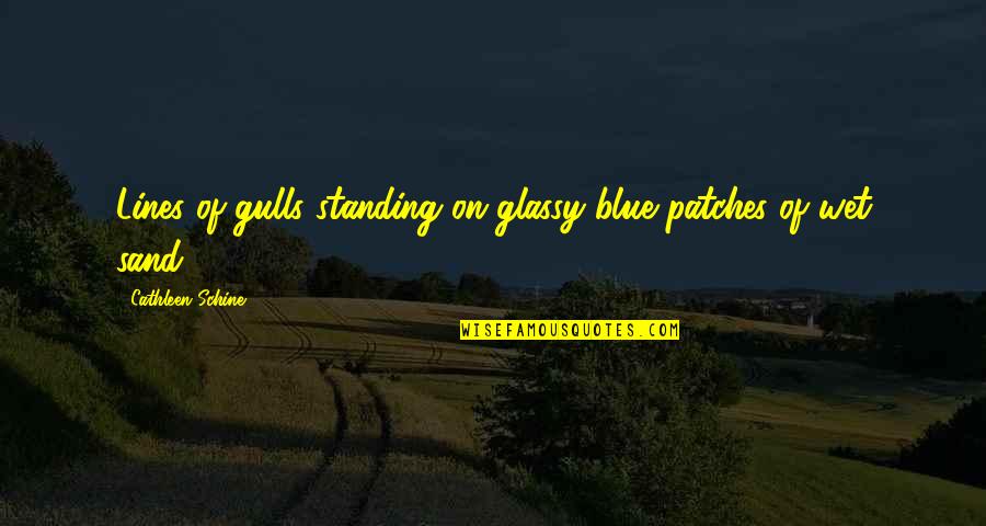 Funeral Pyres Quotes By Cathleen Schine: Lines of gulls standing on glassy blue patches Funeral Pyres Quotes By Cathleen Schine: Lines of gulls standing on glassy blue patches