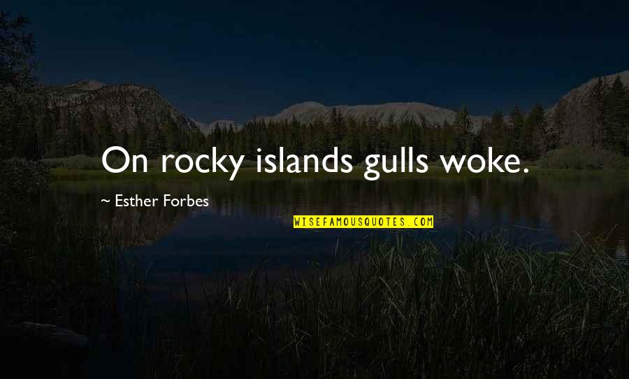 Funestes Quotes By Esther Forbes: On rocky islands gulls woke. Funestes Quotes By Esther Forbes: On rocky islands gulls woke.