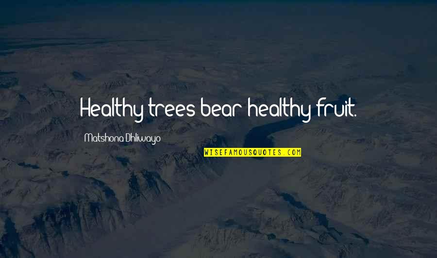 Funfairs In Dubio Quotes By Matshona Dhliwayo: Healthy trees bear healthy fruit.