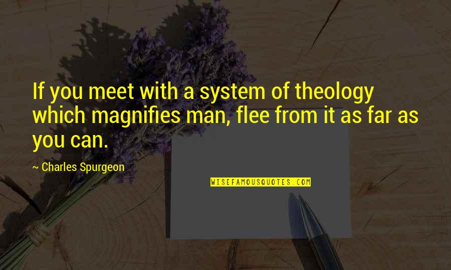 Funfetti Cereal Quotes By Charles Spurgeon: If you meet with a system of theology Funfetti Cereal Quotes By Charles Spurgeon: If you meet with a system of theology