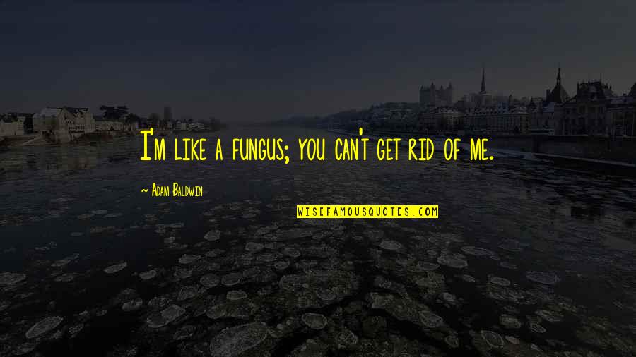 Fungus Quotes By Adam Baldwin: I'm like a fungus; you can't get rid