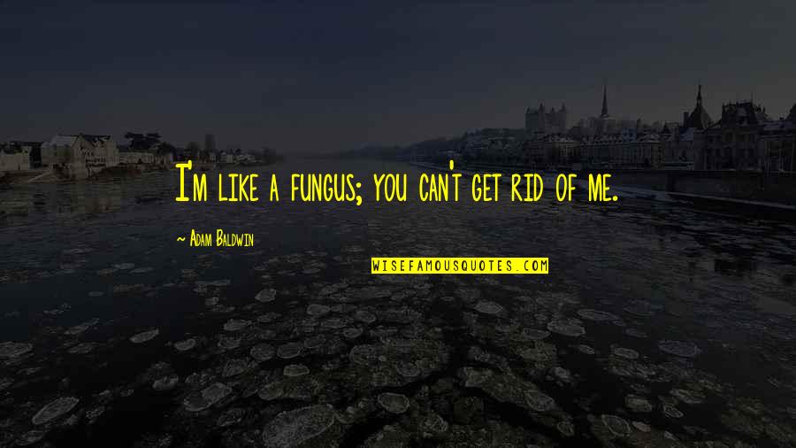 Fungus Quotes By Adam Baldwin: I'm like a fungus; you can't get rid Fungus Quotes By Adam Baldwin: I'm like a fungus; you can't get rid