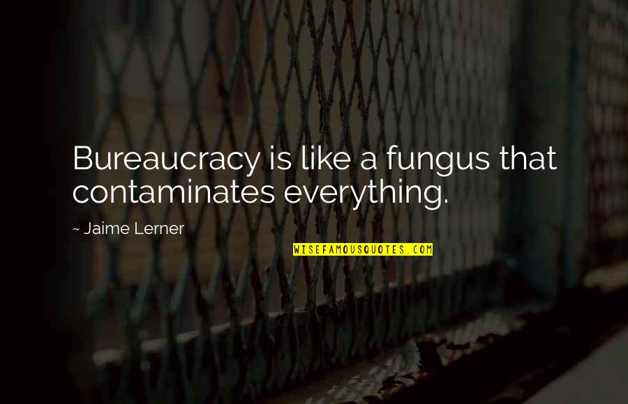Fungus Quotes By Jaime Lerner: Bureaucracy is like a fungus that contaminates everything. Fungus Quotes By Jaime Lerner: Bureaucracy is like a fungus that contaminates everything.