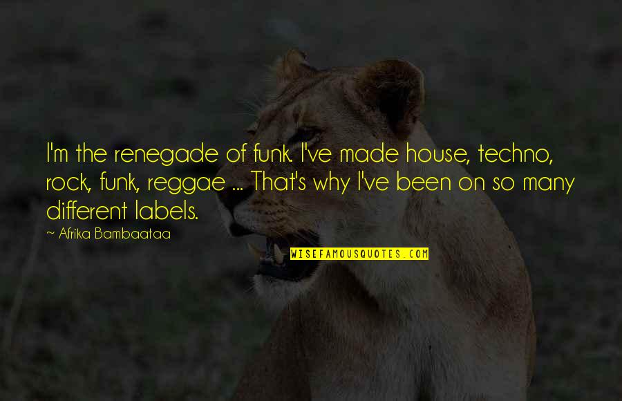 Funk Quotes By Afrika Bambaataa: I'm the renegade of funk. I've made house,