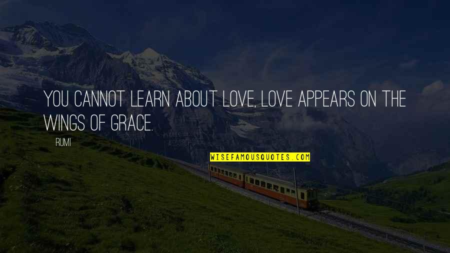 Funknology Quotes By Rumi: You cannot learn about Love, LOVE appears on