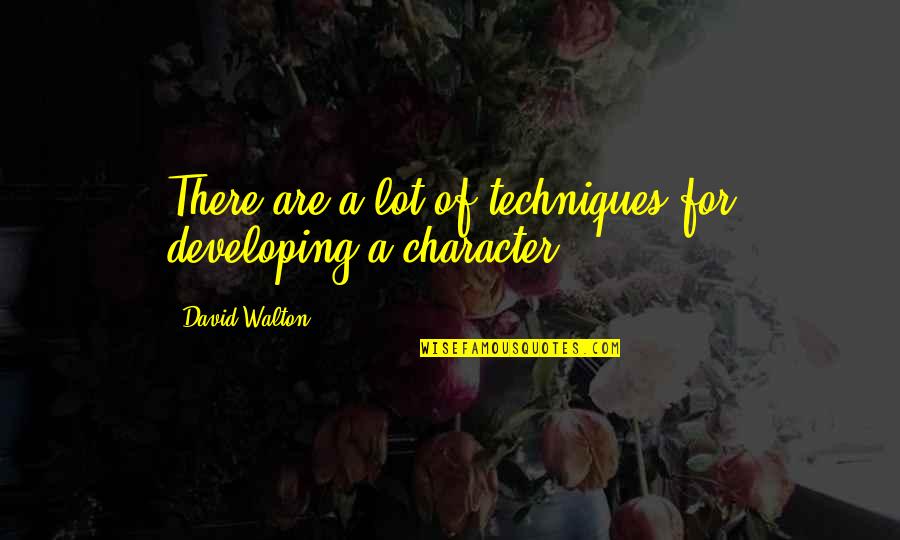 Funnelled Quotes By David Walton: There are a lot of techniques for developing