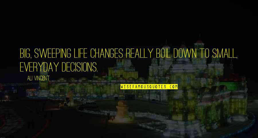 Funniest Bubbles Quotes By Ali Vincent: Big, sweeping life changes really boil down to