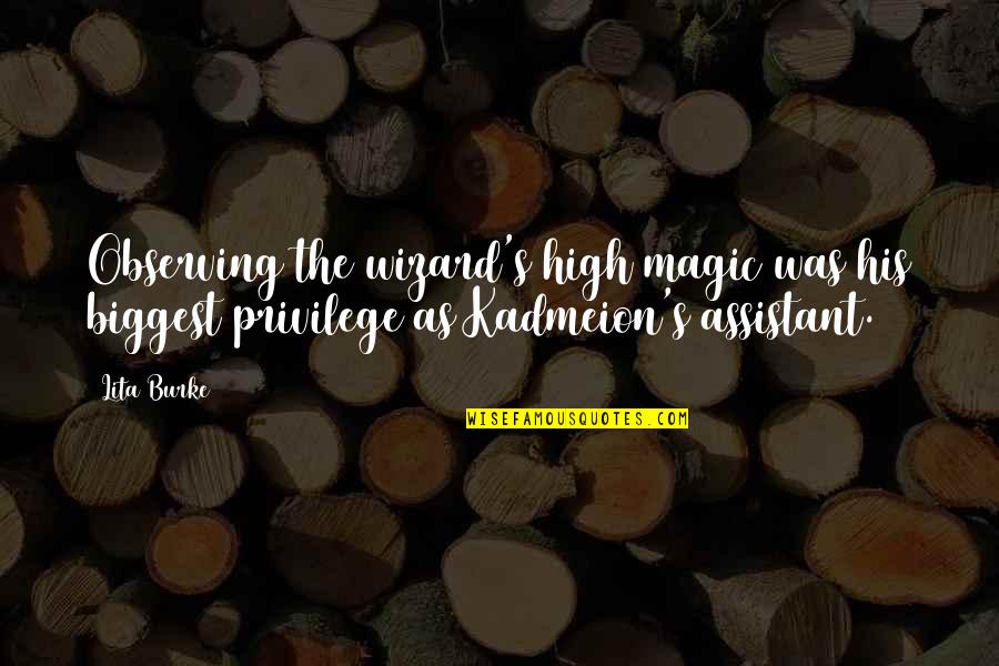 Funniest Marine Corps Quotes By Lita Burke: Observing the wizard's high magic was his biggest