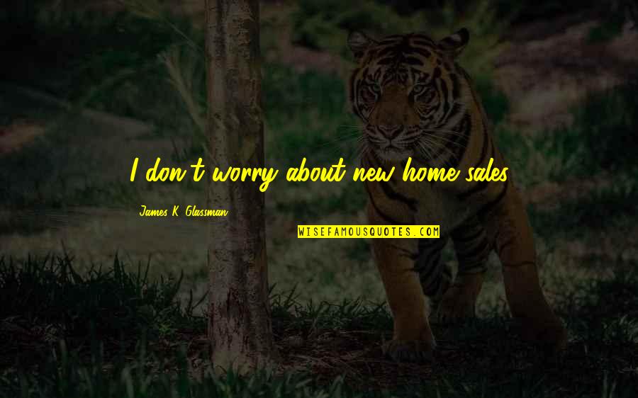 Funniest Pitch Perfect Quotes By James K. Glassman: I don't worry about new home sales
