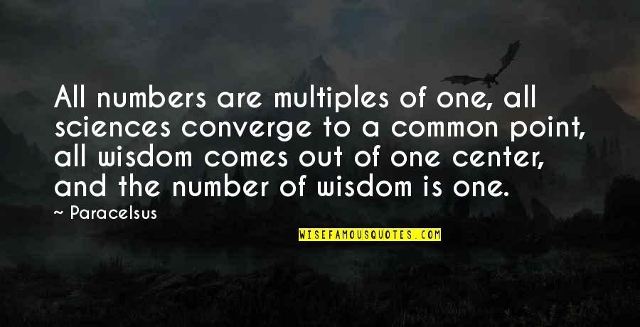 Funniest Reba Quotes By Paracelsus: All numbers are multiples of one, all sciences