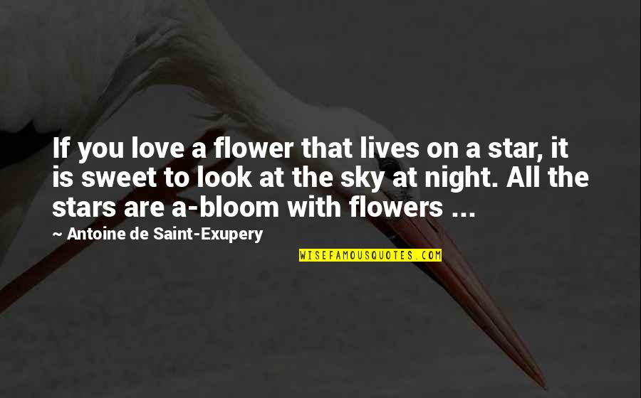 Funniest Retirement Quotes By Antoine De Saint-Exupery: If you love a flower that lives on Funniest Retirement Quotes By Antoine De Saint-Exupery: If you love a flower that lives on