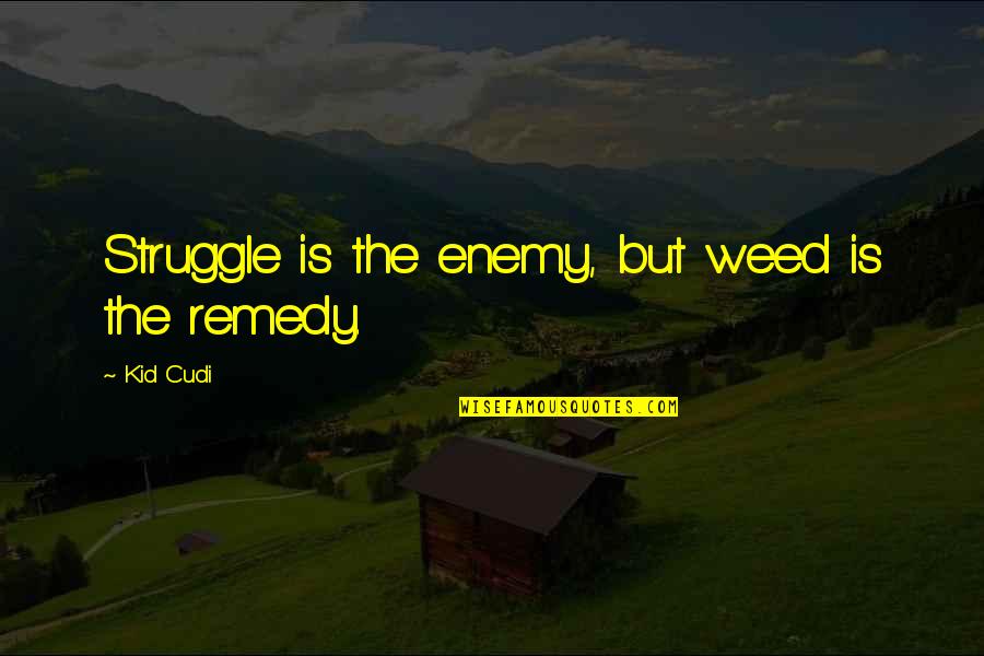 Funniest Song Lyrics Quotes By Kid Cudi: Struggle is the enemy, but weed is the