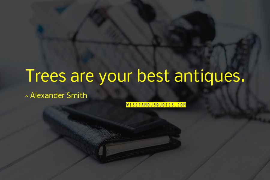 Funniest Stephen A Smith Quotes By Alexander Smith: Trees are your best antiques.