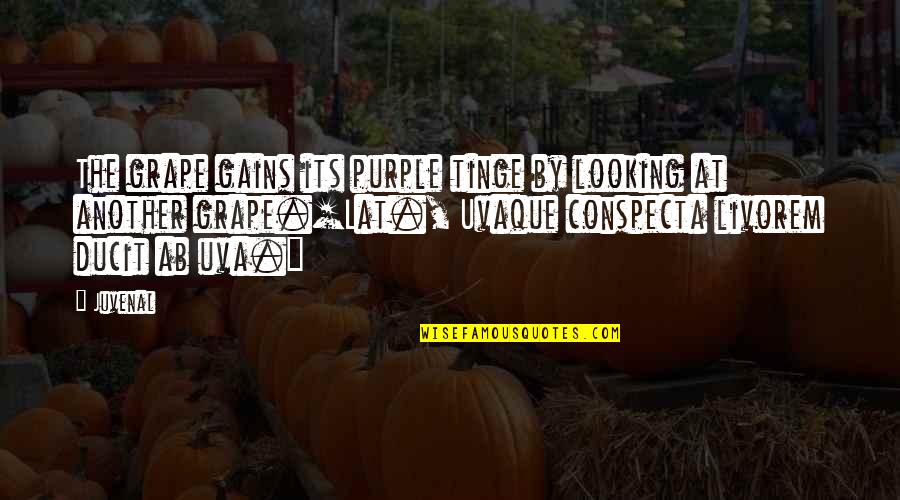 Funniest Weirdest Quotes By Juvenal: The grape gains its purple tinge by looking