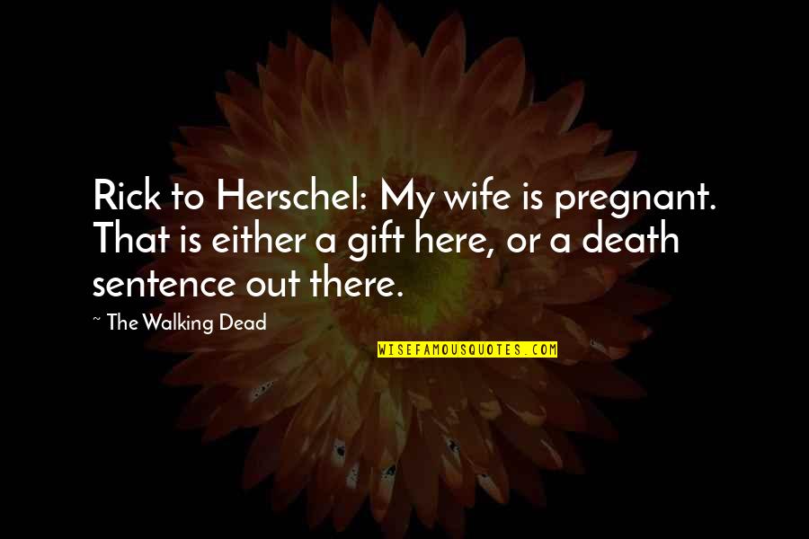 Funny 1 Sentence Quotes By The Walking Dead: Rick to Herschel: My wife is pregnant. That