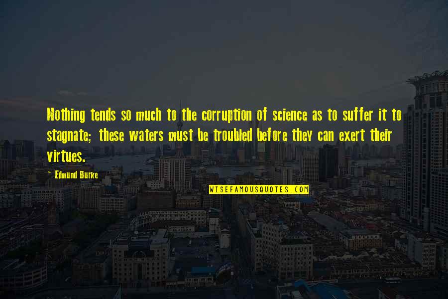 Funny 9th Birthday Quotes By Edmund Burke: Nothing tends so much to the corruption of