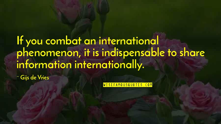 Funny Aang Quotes By Gijs De Vries: If you combat an international phenomenon, it is Funny Aang Quotes By Gijs De Vries: If you combat an international phenomenon, it is