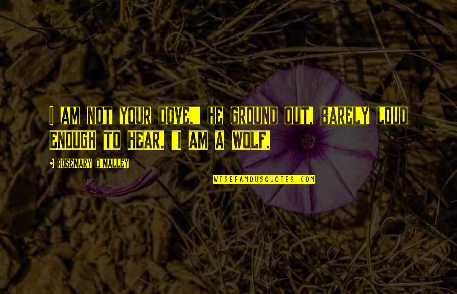 Funny Abbreviation Quotes By Rosemary O'Malley: I am not your dove," he ground out,