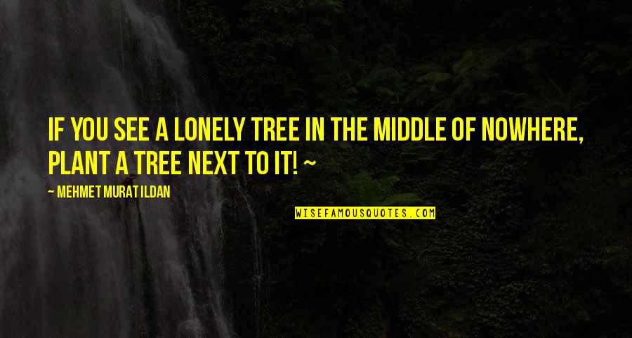 Funny Abusing Quotes By Mehmet Murat Ildan: If you see a lonely tree in the