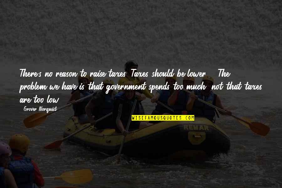 Funny Academy Award Quotes By Grover Norquist: There's no reason to raise taxes. Taxes should