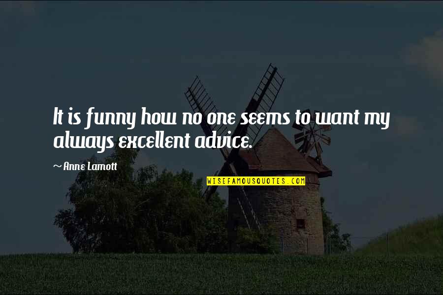 Funny Advice Quotes By Anne Lamott: It is funny how no one seems to