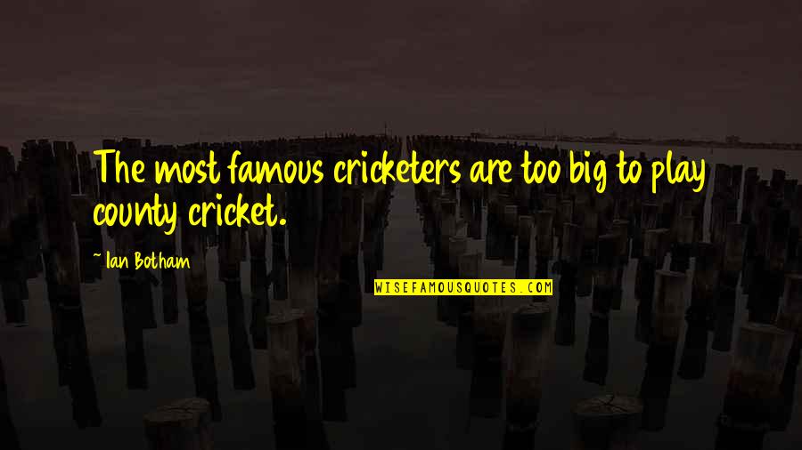 Funny Advisable Quotes By Ian Botham: The most famous cricketers are too big to