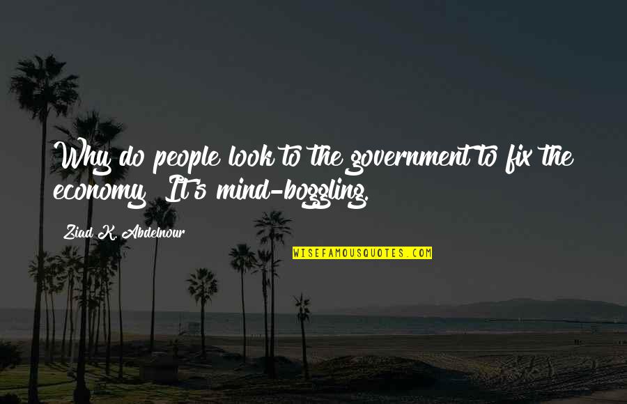 Funny Agony Quotes By Ziad K. Abdelnour: Why do people look to the government to
