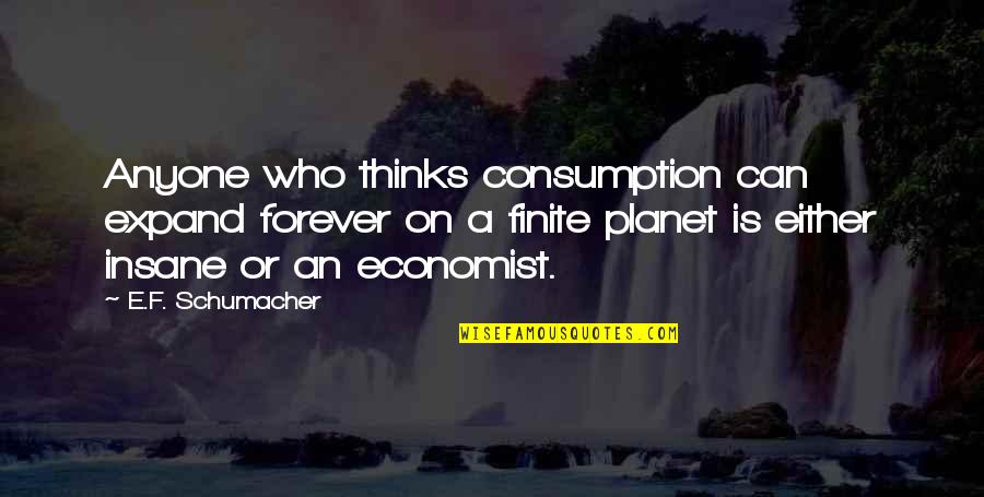 Funny Andrew Bynum Quotes By E.F. Schumacher: Anyone who thinks consumption can expand forever on