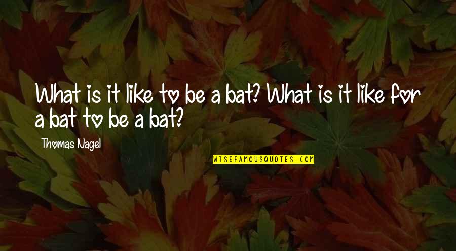 Funny Animal Quotes By Thomas Nagel: What is it like to be a bat?