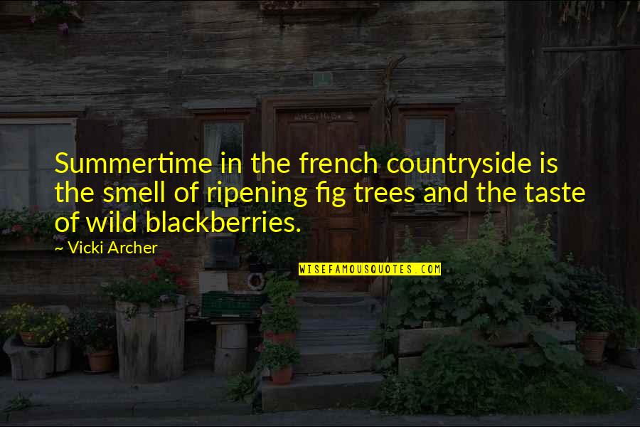 Funny Art Critic Quotes By Vicki Archer: Summertime in the french countryside is the smell
