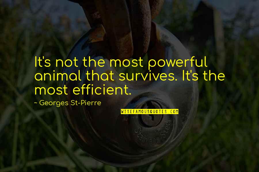 Funny Attention Grabber Quotes By Georges St-Pierre: It's not the most powerful animal that survives.