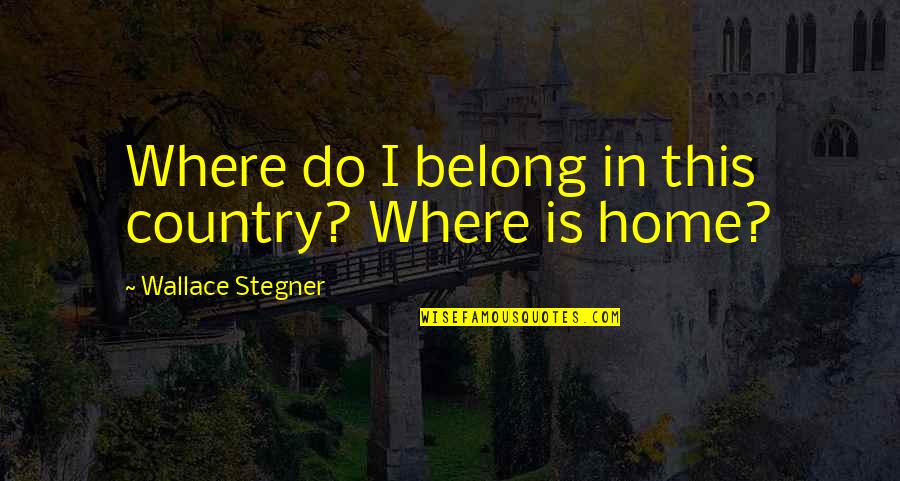 Funny Aviation Maintenance Quotes By Wallace Stegner: Where do I belong in this country? Where