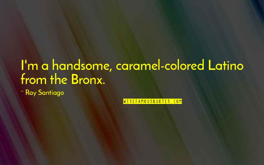 Funny Bad Idea Quotes By Ray Santiago: I'm a handsome, caramel-colored Latino from the Bronx.