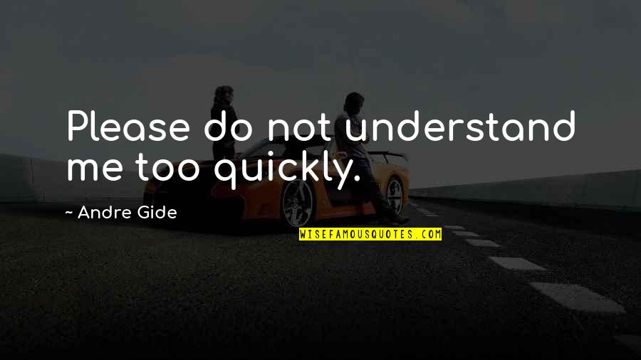 Funny Bad Man Quotes By Andre Gide: Please do not understand me too quickly. Funny Bad Man Quotes By Andre Gide: Please do not understand me too quickly.
