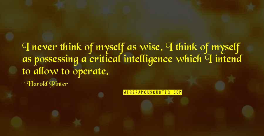 Funny Barbossa Quotes By Harold Pinter: I never think of myself as wise. I