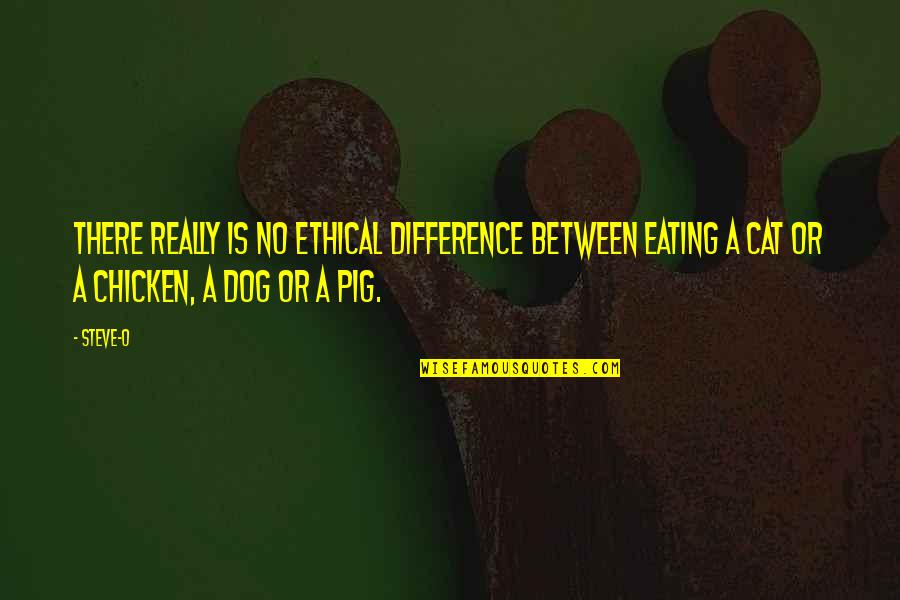 Funny Beards Quotes By Steve-O: There really is no ethical difference between eating