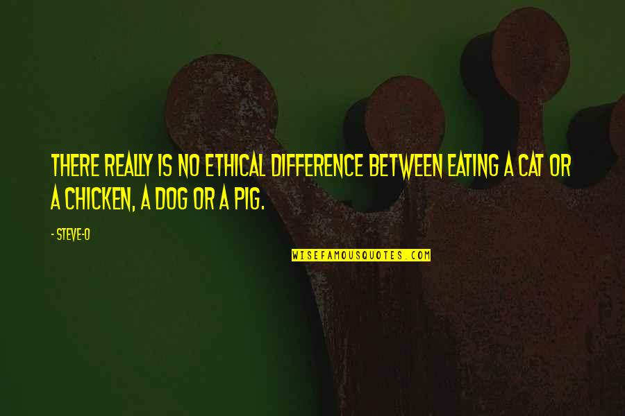 Funny Beards Quotes By Steve-O: There really is no ethical difference between eating