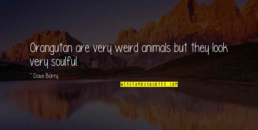 Funny Beauty Quotes By Dave Barry: Orangutan are very weird animals but they look