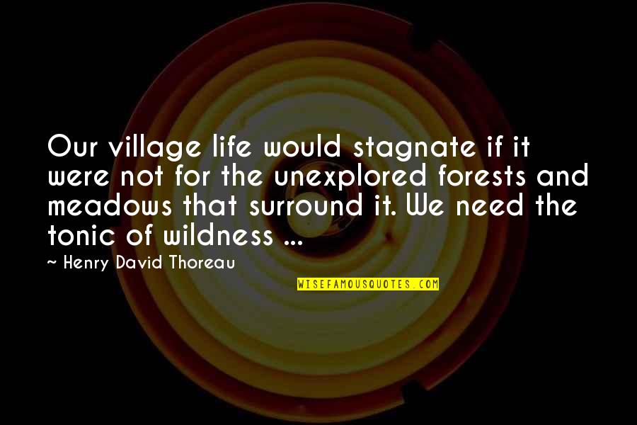 Funny Being Retarded Quotes By Henry David Thoreau: Our village life would stagnate if it were