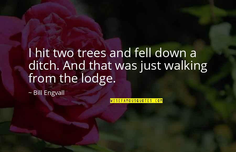 Funny Bill Engvall Quotes By Bill Engvall: I hit two trees and fell down a