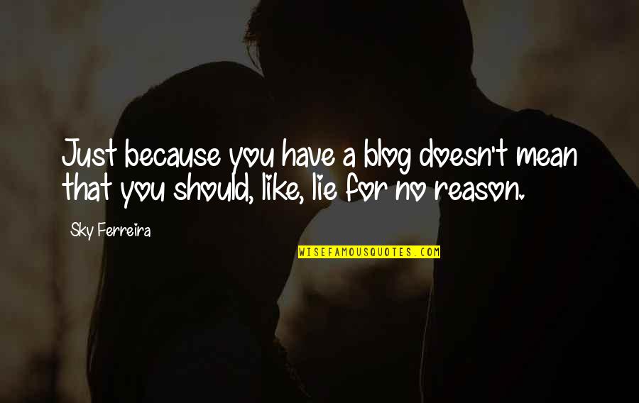 Funny Bleach Quotes By Sky Ferreira: Just because you have a blog doesn't mean