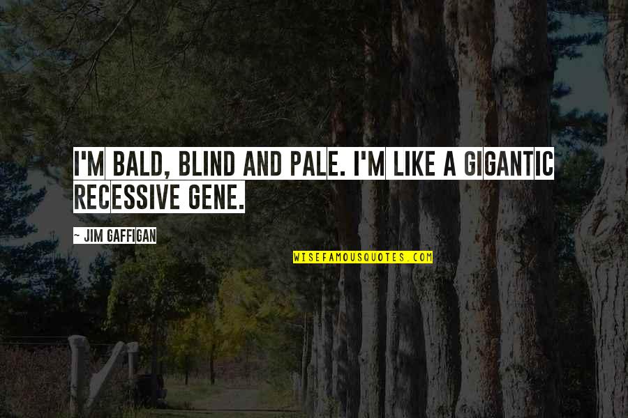 Funny Blind Quotes By Jim Gaffigan: I'm bald, blind and pale. I'm like a