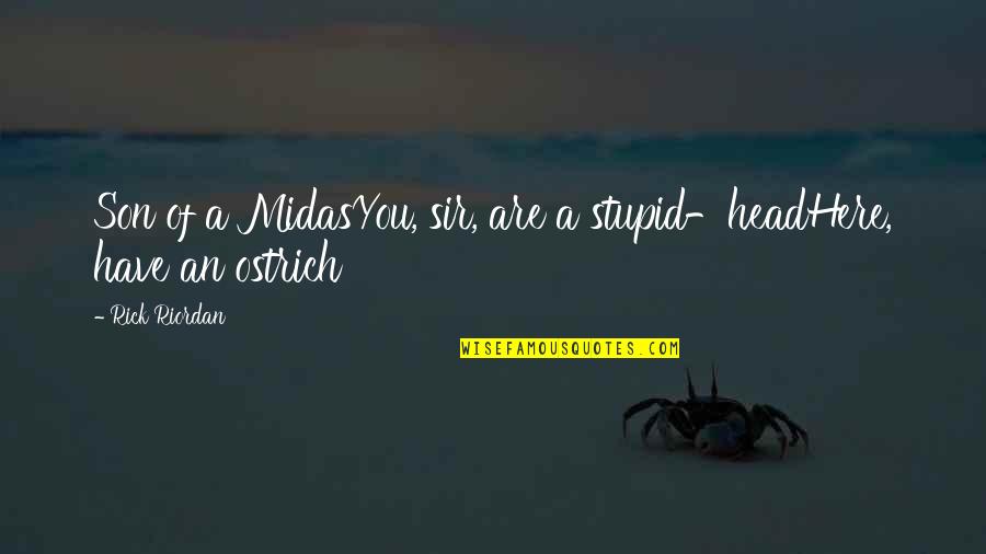 Funny Blonde Senior Quotes By Rick Riordan: Son of a MidasYou, sir, are a stupid-headHere,