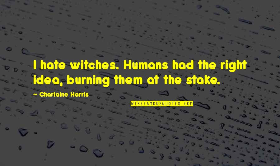 Funny Blood Quotes By Charlaine Harris: I hate witches. Humans had the right idea,