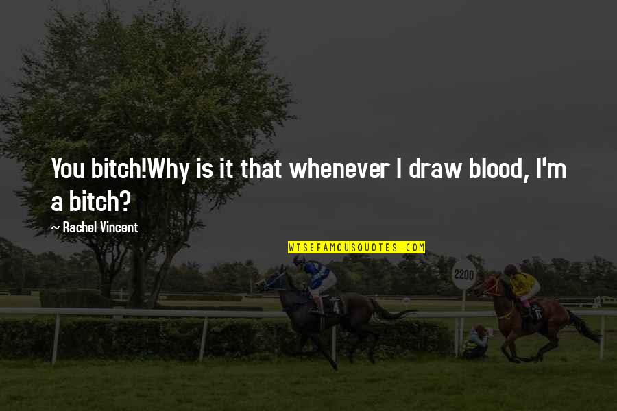 Funny Blood Quotes By Rachel Vincent: You bitch!Why is it that whenever I draw