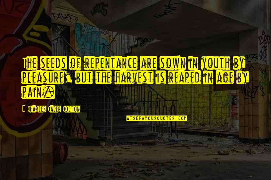 Funny Boxer Quotes By Charles Caleb Colton: The seeds of repentance are sown in youth